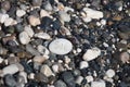 Words on pebble stones Ã¢â¬â motivational concept slogan Ã¢â¬â word sea